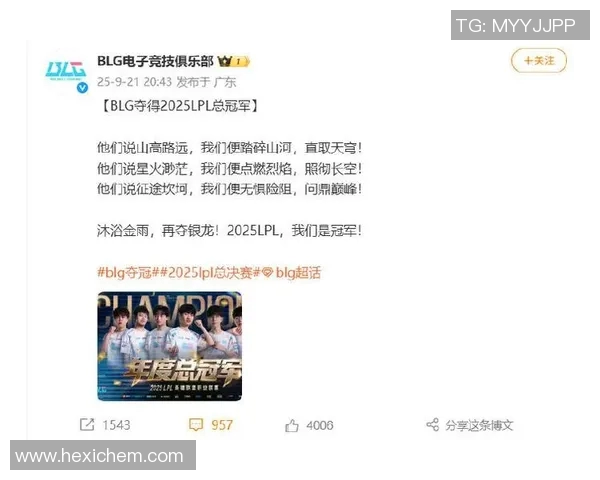 电竞新闻职业联赛特别报道BLG战队的拼搏历程与荣耀追求